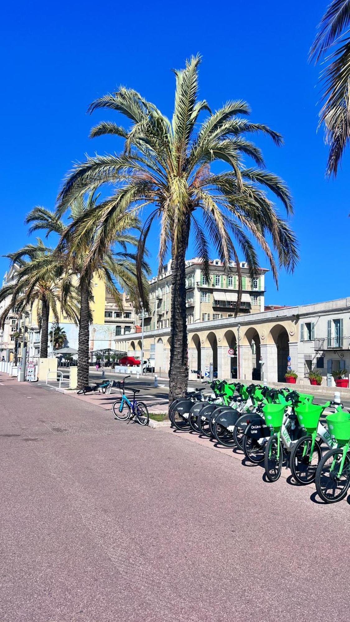 Ferienwohnung L'Avenir Du Ray Nizza Exterior foto